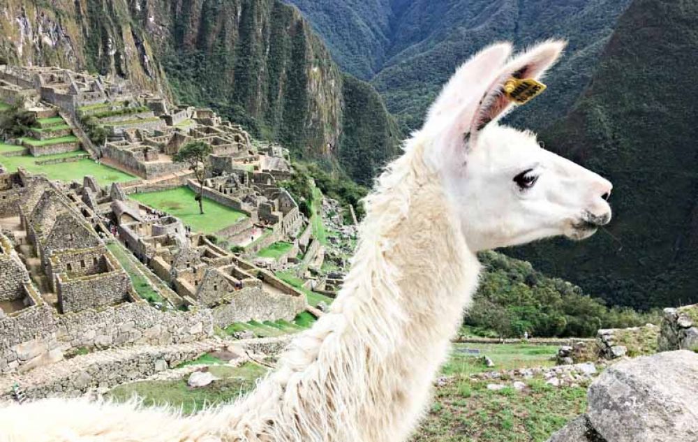 visite Machu Picchu